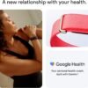 Fitbit Air